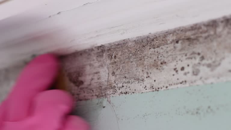 Best Indoor Air Quality Assessment  in Ellenville, NY
